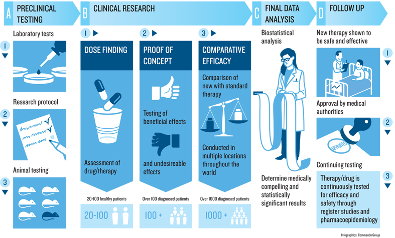 Illustration of progression of a clinical trial